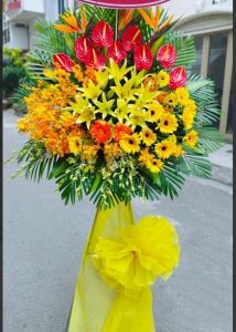 TKT104 - Thuận Lợi Phát Triển