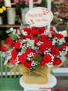 THSN104 - Lãng Hồng Đỏ