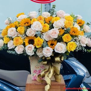 THBC102 - Món Quà Chúc Mừng