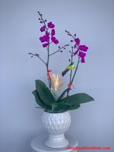 HBC109 - Sự Thu Hút