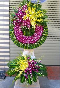 THBC113 - Xin Chia Buồn